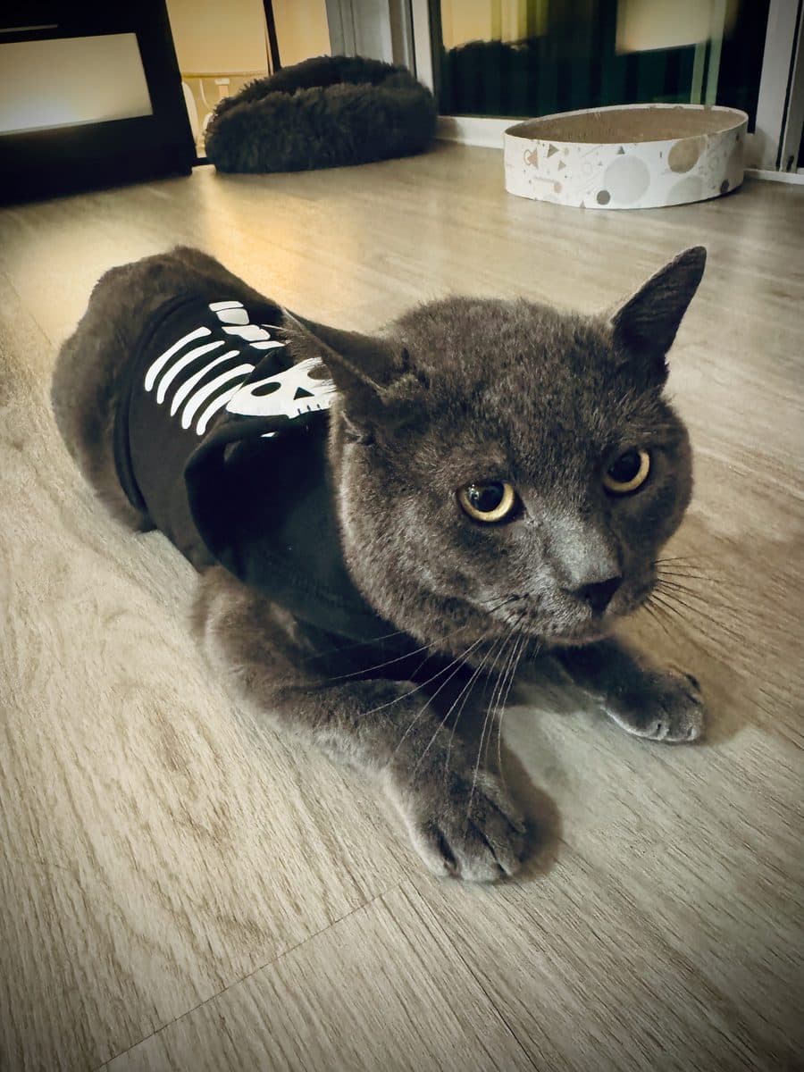 Carbon in his skeleton costume
