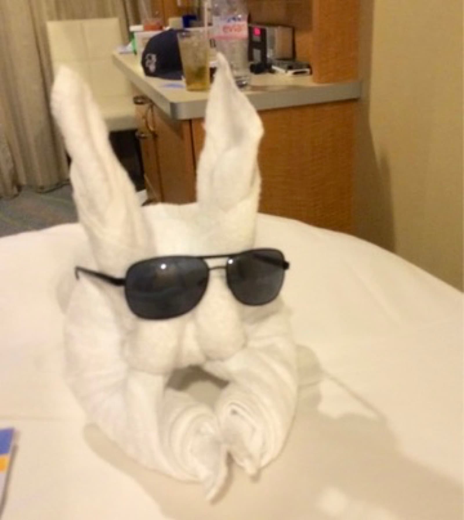 Towel-animal bunny in sunglasses, RC stateroom service